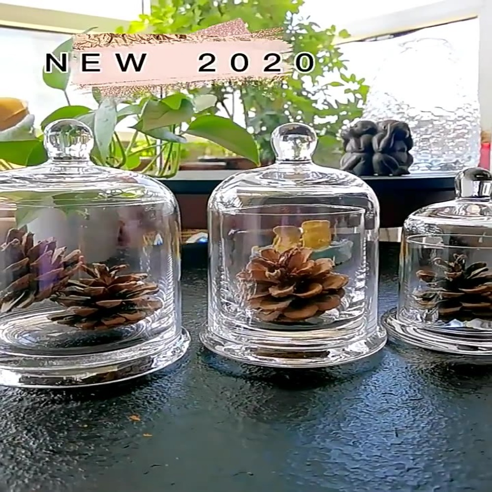 Food Storage In Plants - Стеклянная банка для хранения, цветок вечной