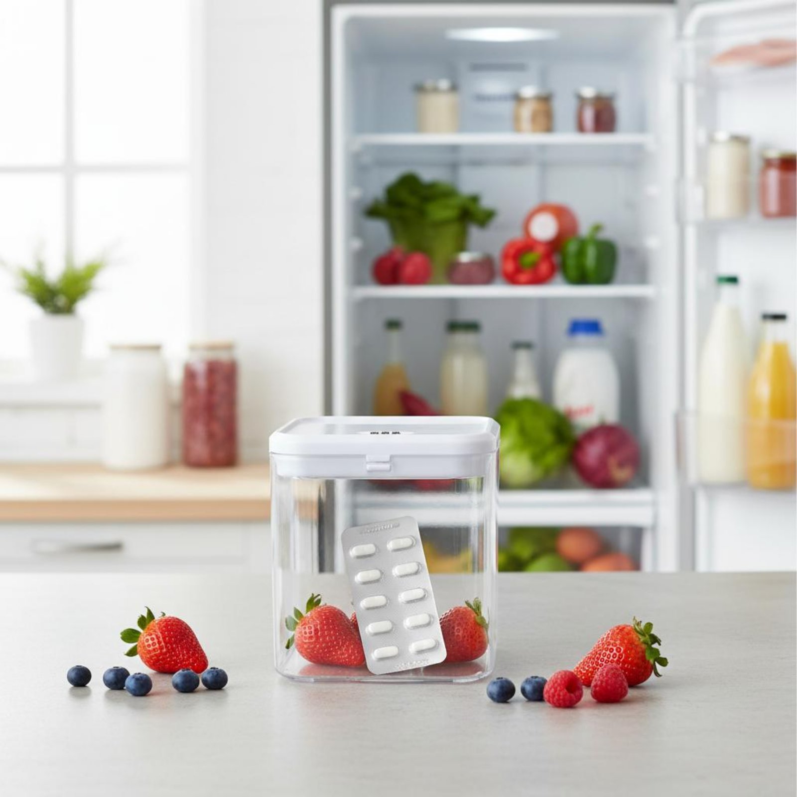 Прозрачный запираемый контейне – обзор и цена Food Storage Usa