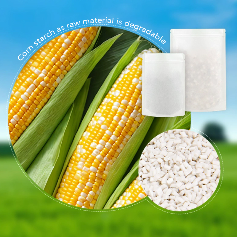 Индивидуальные разлагаемые пак – обзор и цена Food Storage In Plants